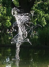 Wasserläufer ©Stefanie Welk Welk5Wasserlaeufer.jpg