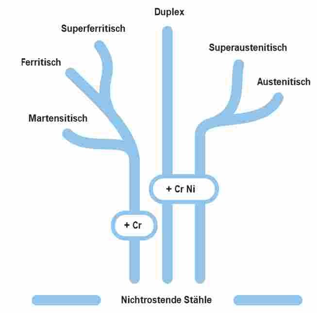 Stammbaum.jpg